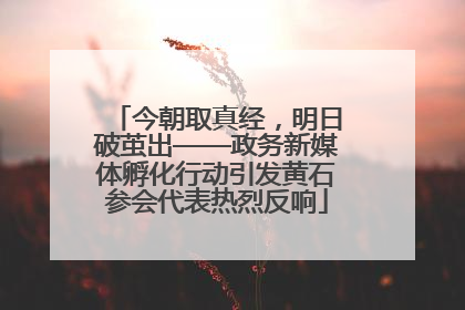 今朝取真经，明日破茧出——政务新媒体孵化行动引发黄石参会代表热烈反响