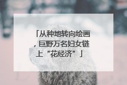 从种地转向绘画，巨野万名妇女链上“花经济”