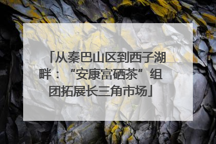 从秦巴山区到西子湖畔：“安康富硒茶”组团拓展长三角市场