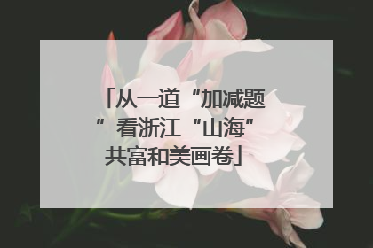 从一道“加减题”看浙江“山海”共富和美画卷