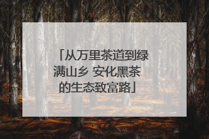 从万里茶道到绿满山乡 安化黑茶的生态致富路