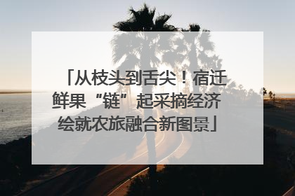 从枝头到舌尖！宿迁鲜果“链”起采摘经济绘就农旅融合新图景