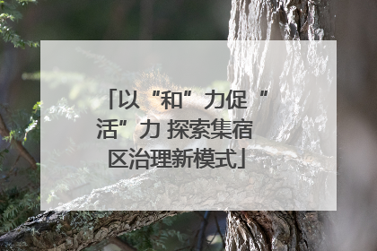 以“和”力促“活”力 探索集宿区治理新模式
