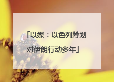 以媒：以色列筹划对伊朗行动多年