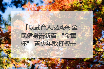 以武育人展风采 全民健身谱新篇 “金童杯” 青少年散打搏击邀请赛圆满落幕