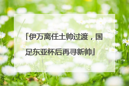 伊万离任土帅过渡，国足东亚杯后再寻新帅