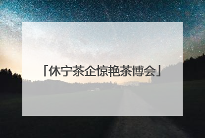 休宁茶企惊艳茶博会