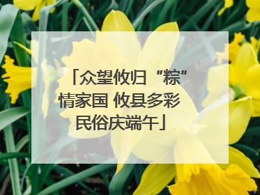 众望攸归“粽”情家国 攸县多彩民俗庆端午