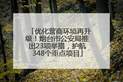 优化营商环境再升级！烟台市公安局推出23项举措，护航348个重点项目