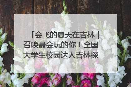 会飞的夏天在吉林｜召唤最会玩的你！全国大学生校园达人吉林探线活动招募中