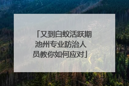 又到白蚁活跃期 池州专业防治人员教你如何应对