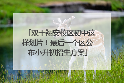 双十翔安校区初中这样划片！最后一个区公布小升初招生方案