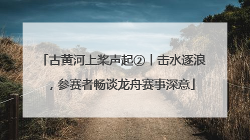 古黄河上桨声起②丨击水逐浪，参赛者畅谈龙舟赛事深意
