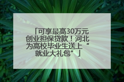 可享最高30万元创业担保贷款！河北为高校毕业生送上“就业大礼包”