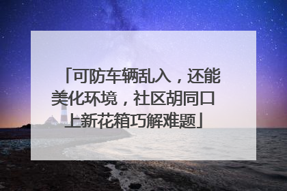 可防车辆乱入，还能美化环境，社区胡同口上新花箱巧解难题