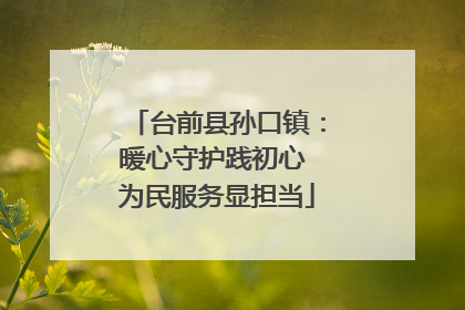 台前县孙口镇：暖心守护践初心 为民服务显担当