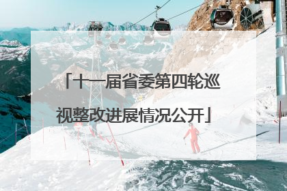 十一届省委第四轮巡视整改进展情况公开