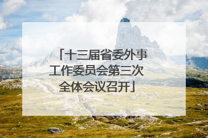 十三届省委外事工作委员会第三次全体会议召开