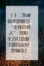 十二条硬核举措吸引“全球合伙人” 资阳全力打造数字游民友好型城市