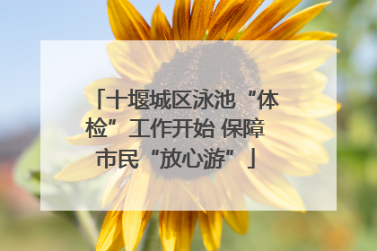 十堰城区泳池“体检”工作开始 保障市民“放心游”