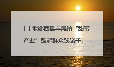 十堰郧西县羊尾镇“甜蜜产业”鼓起群众钱袋子