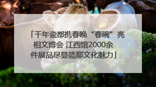 千年瓷都携春晚“春碗”亮相文博会 江西馆2000余件展品尽显赣鄱文化魅力