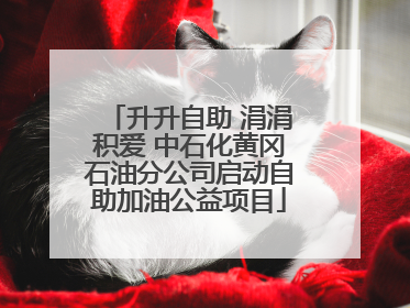 升升自助 涓涓积爱 中石化黄冈石油分公司启动自助加油公益项目