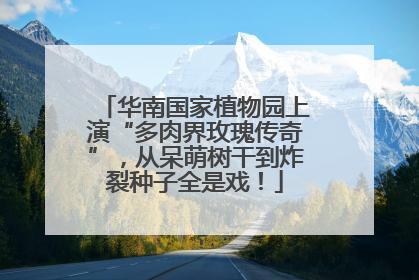 华南国家植物园上演“多肉界玫瑰传奇”，从呆萌树干到炸裂种子全是戏！