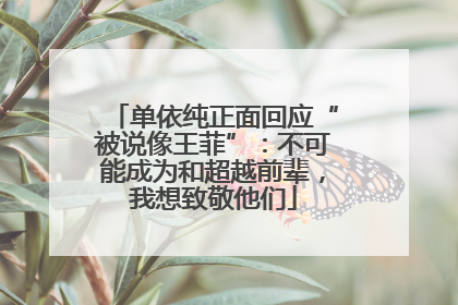 单依纯正面回应“被说像王菲”：不可能成为和超越前辈，我想致敬他们