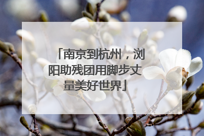 南京到杭州，浏阳助残团用脚步丈量美好世界