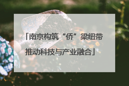 南京构筑“侨”梁纽带推动科技与产业融合