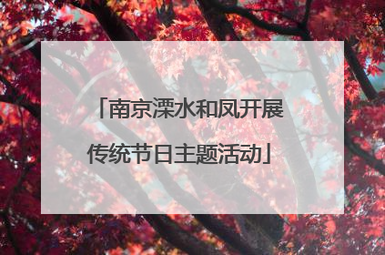 南京溧水和凤开展传统节日主题活动