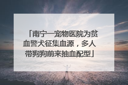 南宁一宠物医院为贫血警犬征集血源，多人带狗狗前来抽血配型