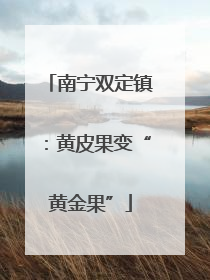 南宁双定镇：黄皮果变“黄金果”