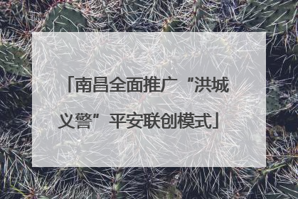 南昌全面推广“洪城义警”平安联创模式