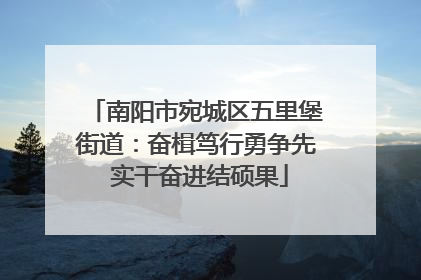 南阳市宛城区五里堡街道：奋楫笃行勇争先 实干奋进结硕果
