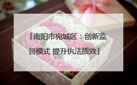 南阳市宛城区：创新监督模式 提升执法质效