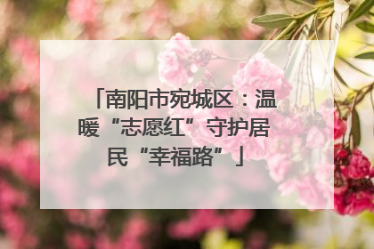 南阳市宛城区：温暖“志愿红”守护居民“幸福路”