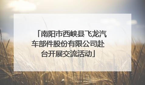 南阳市西峡县飞龙汽车部件股份有限公司赴台开展交流活动