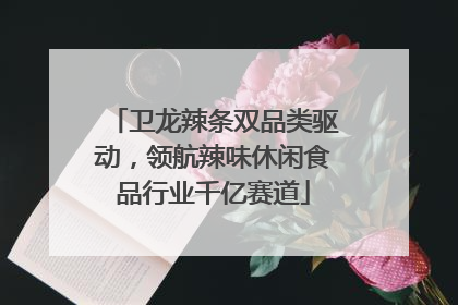 卫龙辣条双品类驱动，领航辣味休闲食品行业千亿赛道