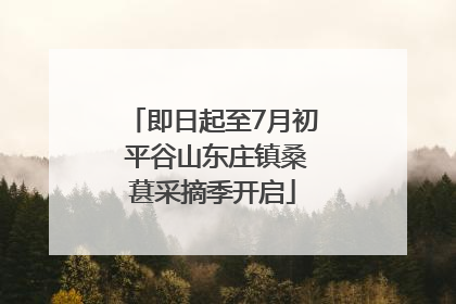 即日起至7月初 平谷山东庄镇桑葚采摘季开启