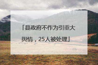 县政府不作为引重大舆情，25人被处理