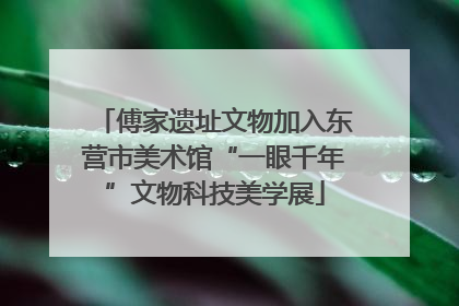 傅家遗址文物加入东营市美术馆“一眼千年”文物科技美学展