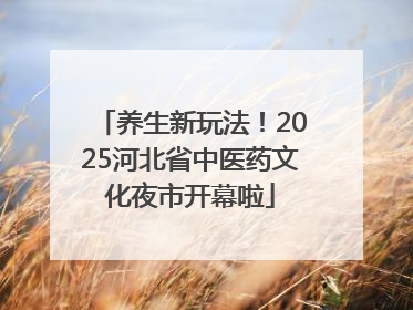 养生新玩法！2025河北省中医药文化夜市开幕啦