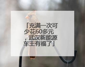 充满一次可少花60多元，武汉新能源车主有福了