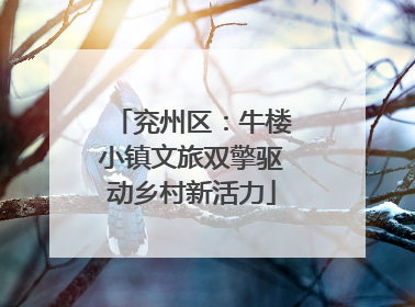 兖州区：牛楼小镇文旅双擎驱动乡村新活力