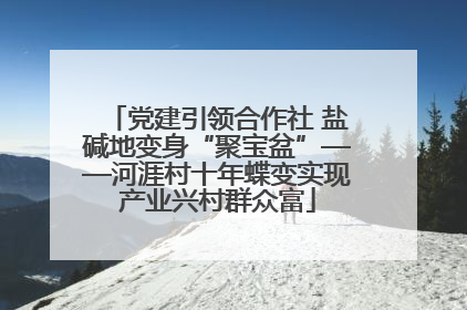 党建引领合作社 盐碱地变身“聚宝盆”——河涯村十年蝶变实现产业兴村群众富