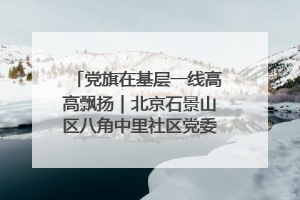 党旗在基层一线高高飘扬｜北京石景山区八角中里社区党委：用脚步丈量民生