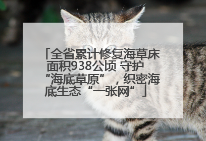 全省累计修复海草床面积938公顷 守护“海底草原”，织密海底生态“一张网”