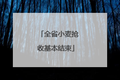 全省小麦抢收基本结束